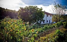 Apartment With Privat Garden